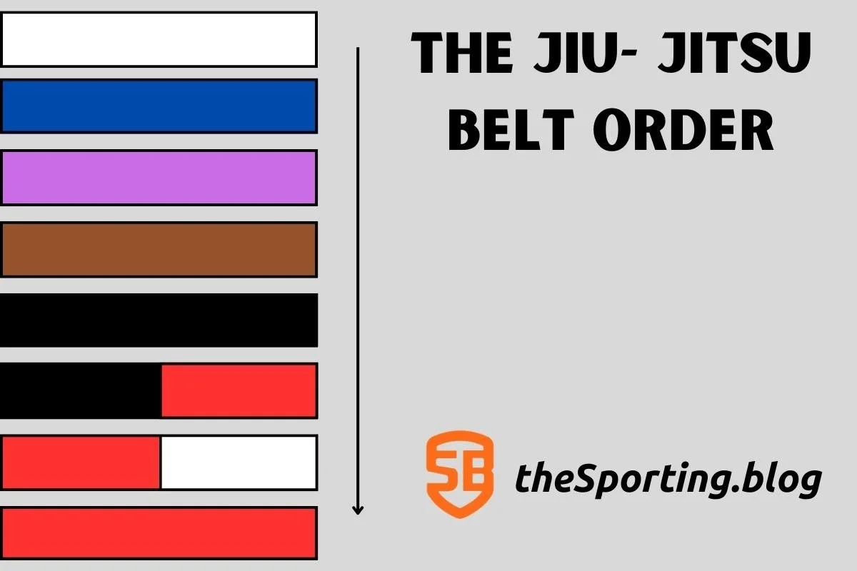Belt color order best sale